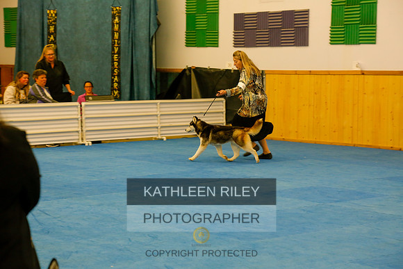 2022-KathleenRileyPhotography-8404