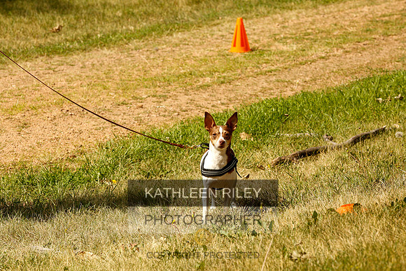 2022-KathleenRileyPhotography-0231