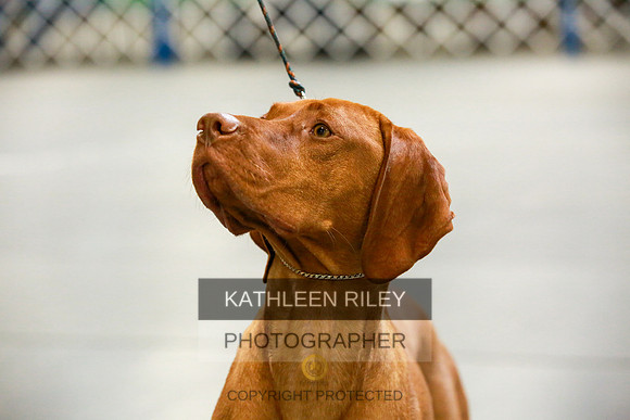 2022-KathleenRileyPhotography-8680