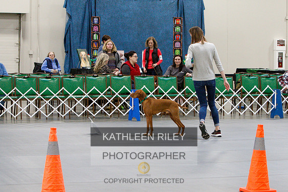 2022-KathleenRileyPhotography-1349