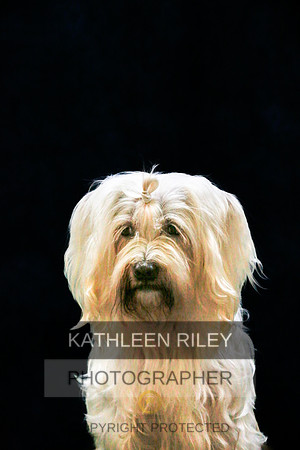 2022-KathleenRileyPhotography-9416