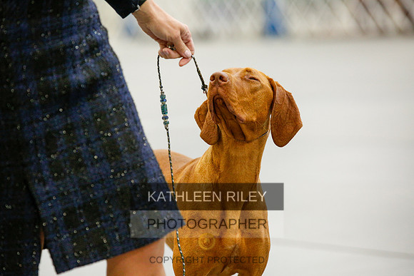 2022-KathleenRileyPhotography-9701