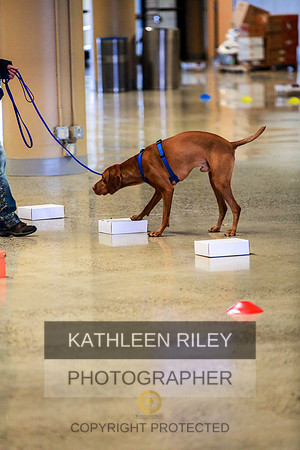 2022-KathleenRileyPhotography-7396 (1)