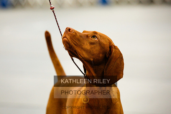 2022-KathleenRileyPhotography-9695