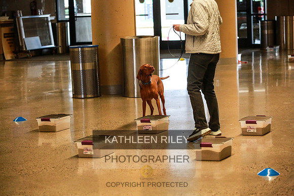2022-KathleenRileyPhotography-7345