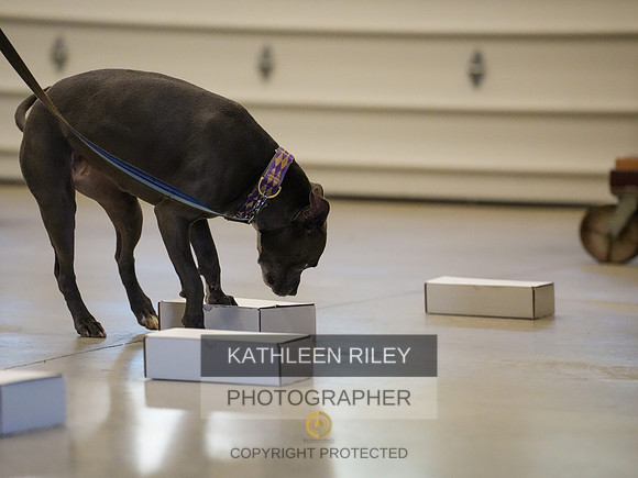2022-KathleenRileyPhotography-03858