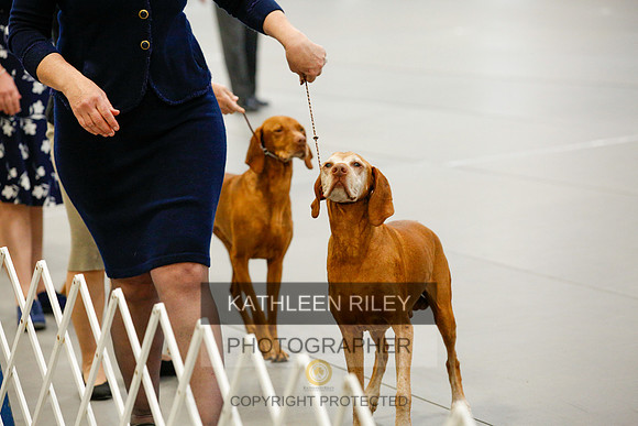 2022-KathleenRileyPhotography-1344