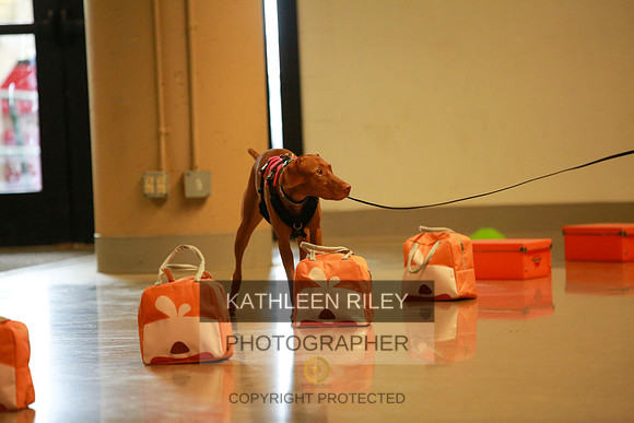 2022-KathleenRileyPhotography-7681