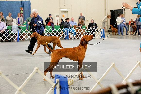 2022-KathleenRileyPhotography-9278