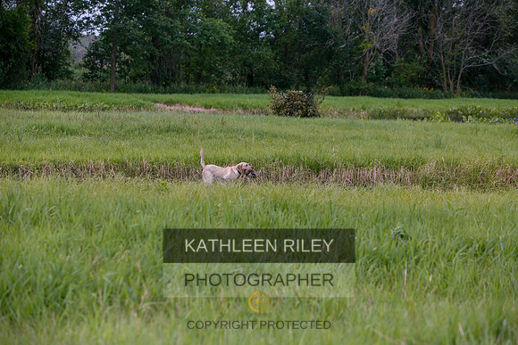 2022-KathleenRileyPhotography-3144