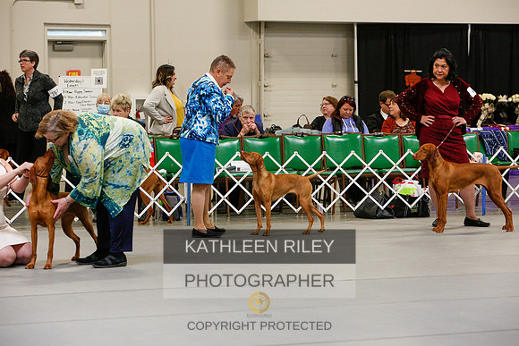 2022-KathleenRileyPhotography-2502