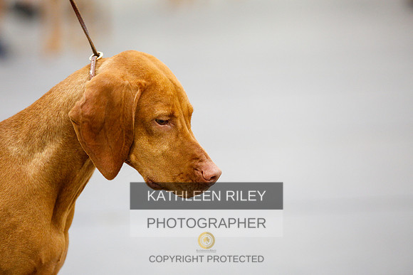 2022-KathleenRileyPhotography-2335