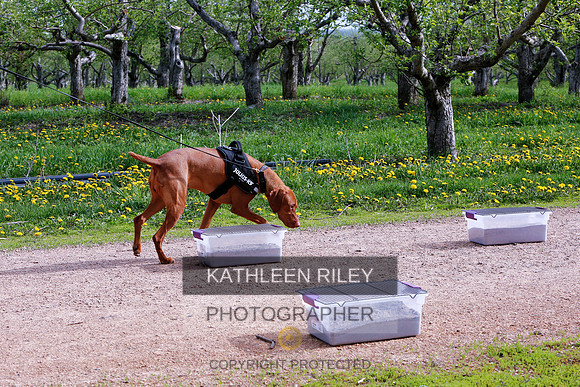 2022-KathleenRileyPhotography-8401 (1)