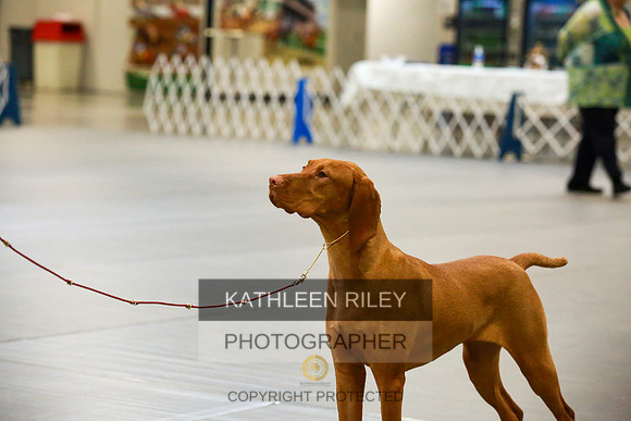2022-KathleenRileyPhotography-8708