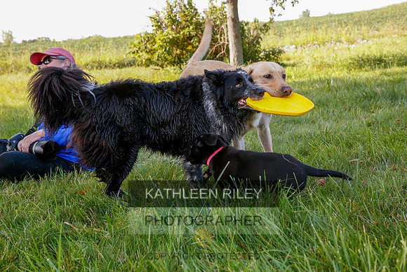 2022-KathleenRileyPhotography-5561