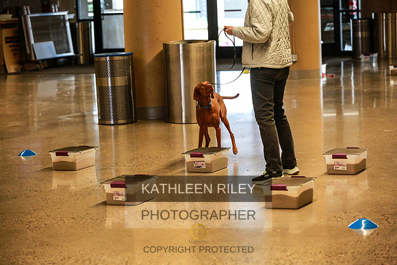 2022-KathleenRileyPhotography-7343