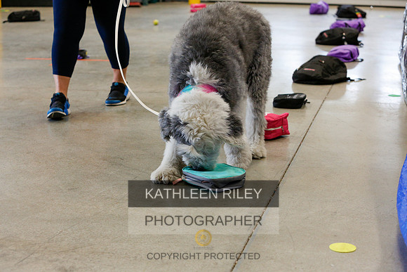 2022-KathleenRileyPhotography-5167