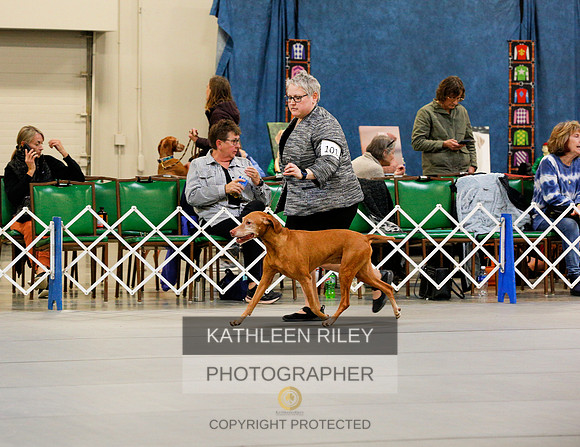 2022-KathleenRileyPhotography-9180