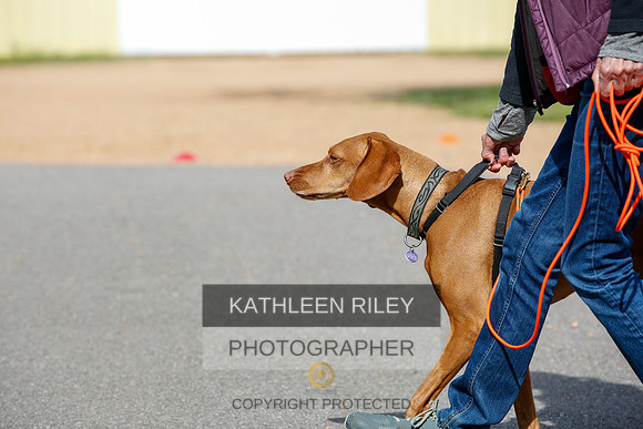 2022-KathleenRileyPhotography-3836