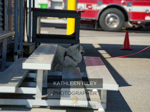 2022-KathleenRileyPhotography-03902