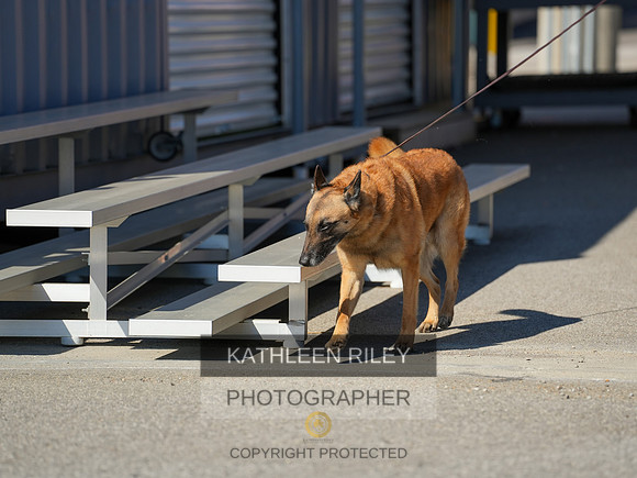 2022-KathleenRileyPhotography-03884