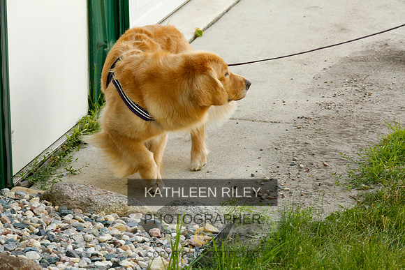 2022-KathleenRileyPhotography-0292