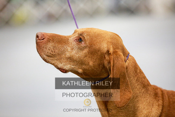2022-KathleenRileyPhotography-7899