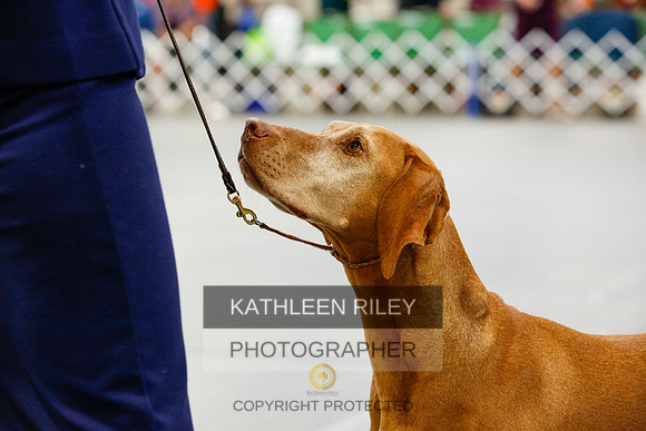 2022-KathleenRileyPhotography-9999