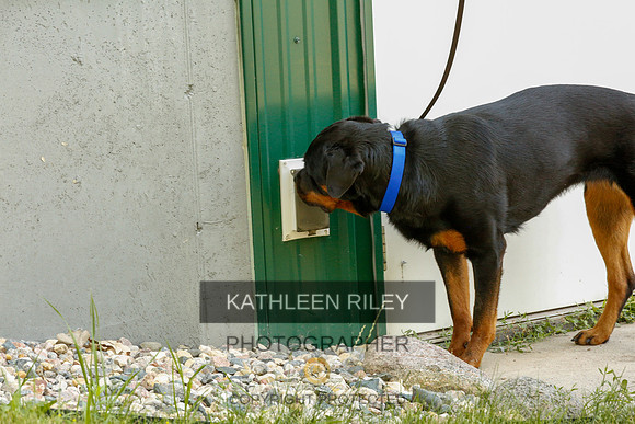 2022-KathleenRileyPhotography-0318