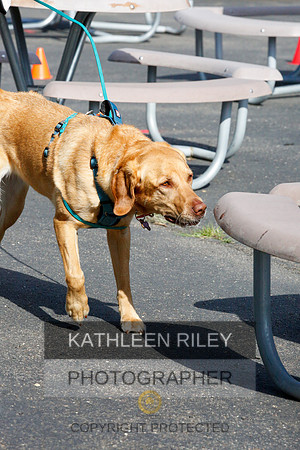 2022-KathleenRileyPhotography-9750