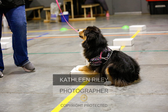 2022-KathleenRileyPhotography-7627
