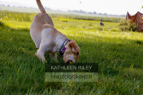 2022-KathleenRileyPhotography-5457