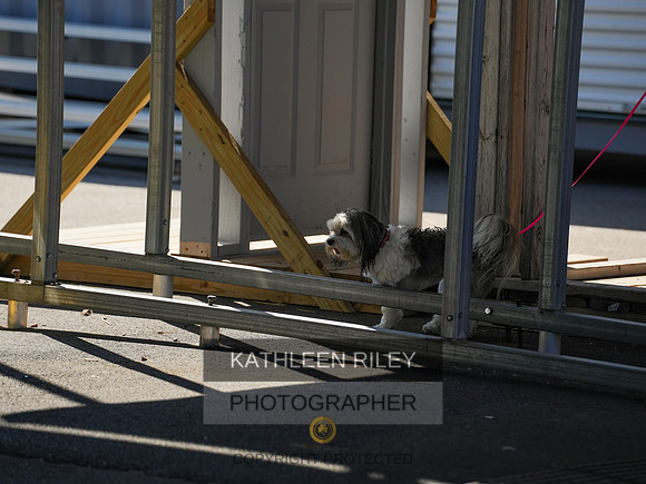 2022-KathleenRileyPhotography-03913