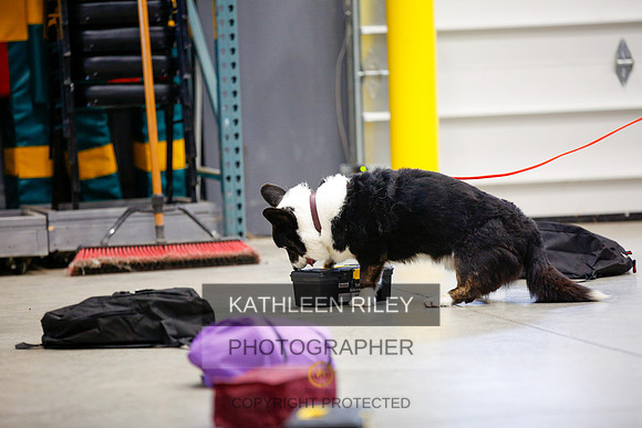 2022-KathleenRileyPhotography-7472