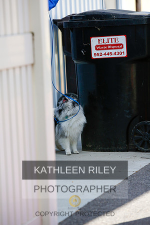 2022-KathleenRileyPhotography-4231
