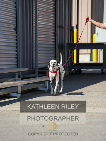 2022-KathleenRileyPhotography-03946