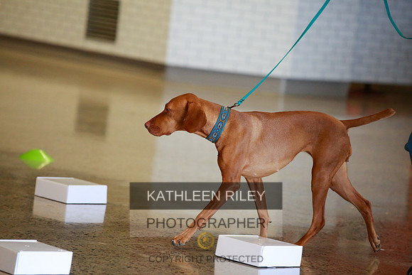 2022-KathleenRileyPhotography-7543