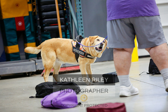 2022-KathleenRileyPhotography-7403