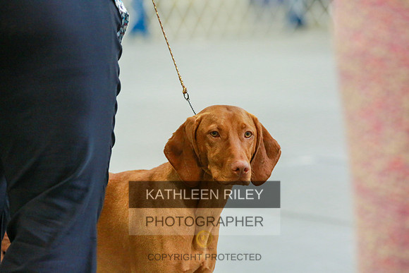 2022-KathleenRileyPhotography-8873