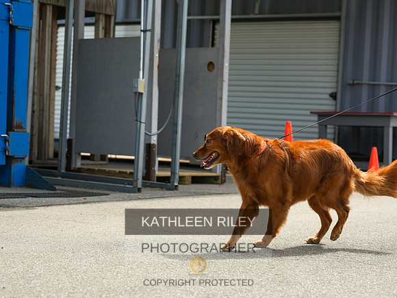 2022-KathleenRileyPhotography-04393