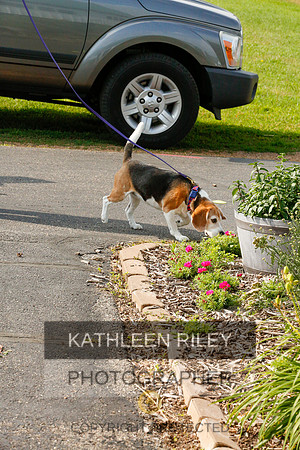 2022-KathleenRileyPhotography-9340