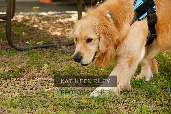 2022-KathleenRileyPhotography-0537