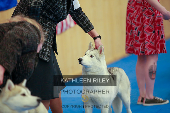 2022-KathleenRileyPhotography-6319