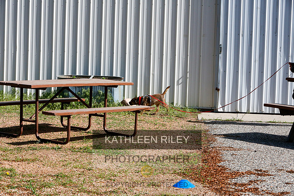 2022-KathleenRileyPhotography-9506