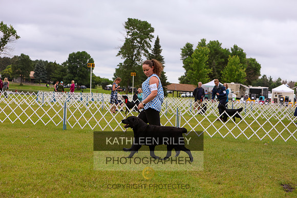KARD3049