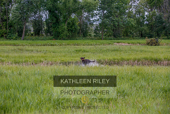 2022-KathleenRileyPhotography-3433