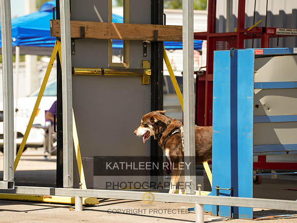 2022-KathleenRileyPhotography-04245