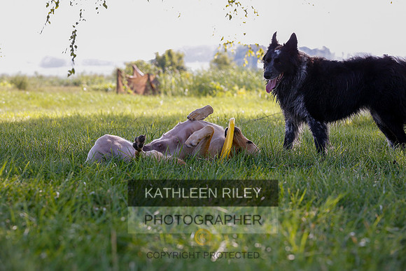 2022-KathleenRileyPhotography-7936