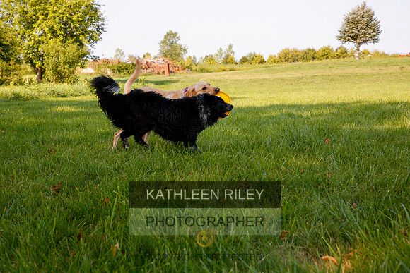 2022-KathleenRileyPhotography-5545