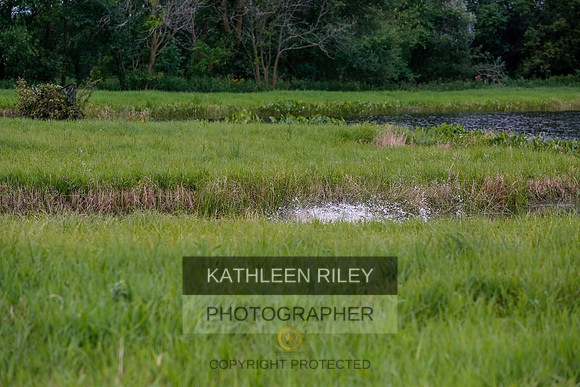 2022-KathleenRileyPhotography-3478